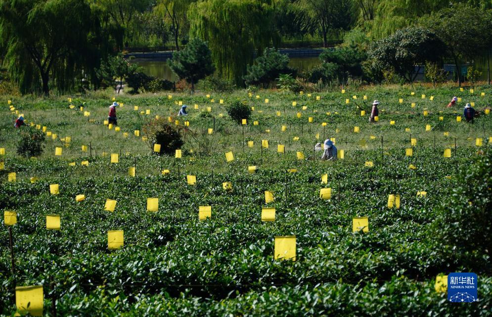 摩登彩票注册登录平台